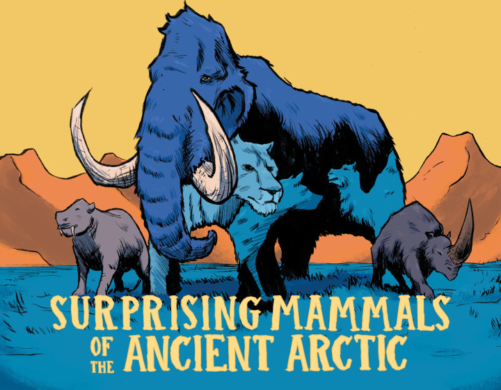 Könyv Surprising Mammals of the Ancient Arctic Aaron Edzerza