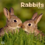 Naptár/Határidőnapló Rabbits 2023 Wall Calendar 