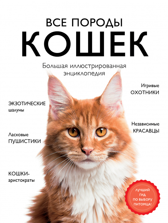 Könyv Все породы кошек. Большая иллюстрированная энциклопедия А.И. Ярощук