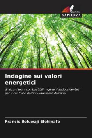 Book Indagine sui valori energetici Francis Boluwaji Elehinafe
