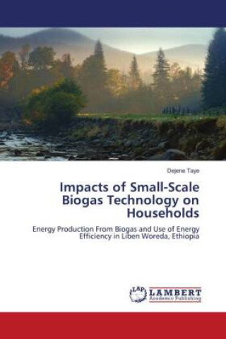 Książka Impacts of Small-Scale Biogas Technology on Households 