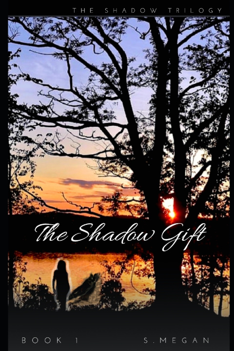 Knjiga Shadow Gift Megan S Megan
