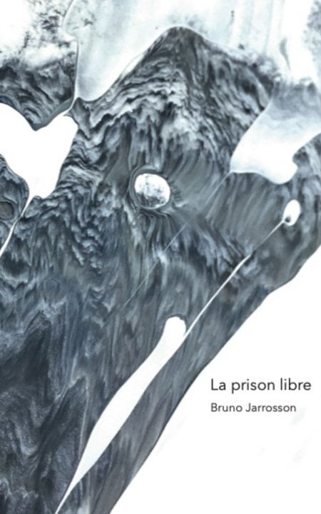 Knjiga prison libre Bruno Jarrosson