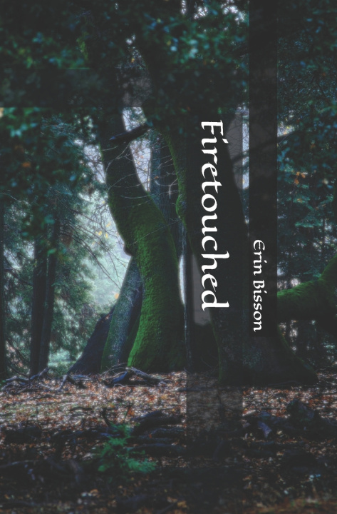 Knjiga Firetouched Bisson Erin A. Bisson