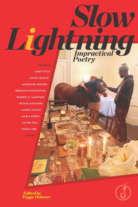 Knjiga Slow Lightning Fitch Janet Fitch