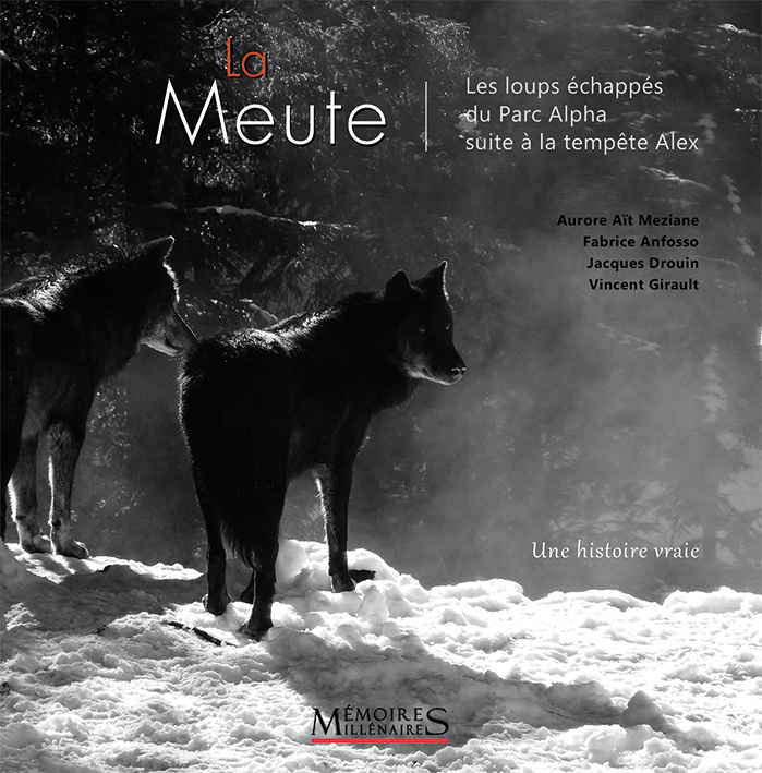Carte La Meute DROUIN