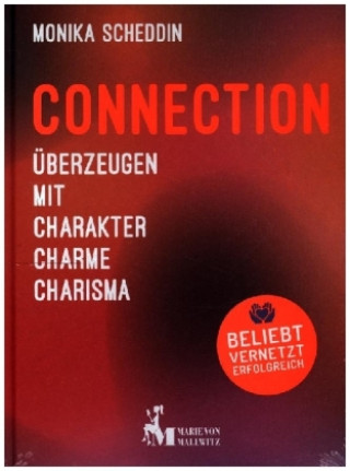 Kniha Connection Monika Scheddin