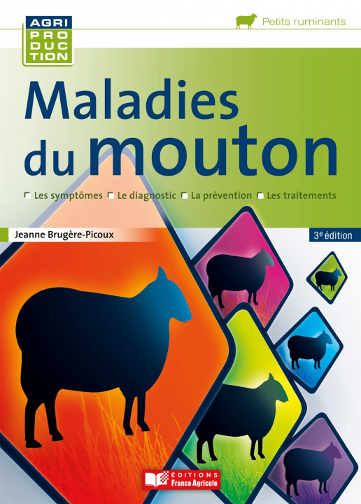 Könyv CAMPUSMALADIES  DU MOUTON Jeanne Brugère Picoux