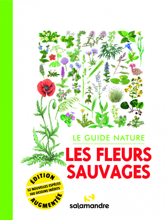 Libro Le guide nature Les fleurs sauvages collegium