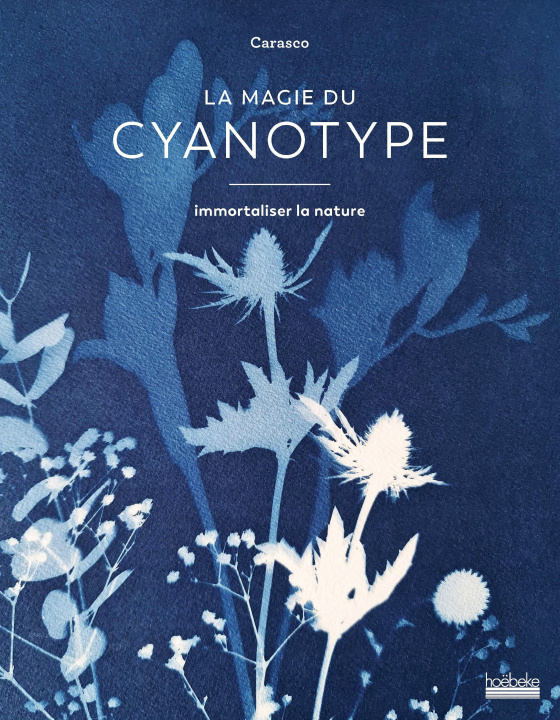 Kniha La magie du cyanotype EMILIE CARASCO