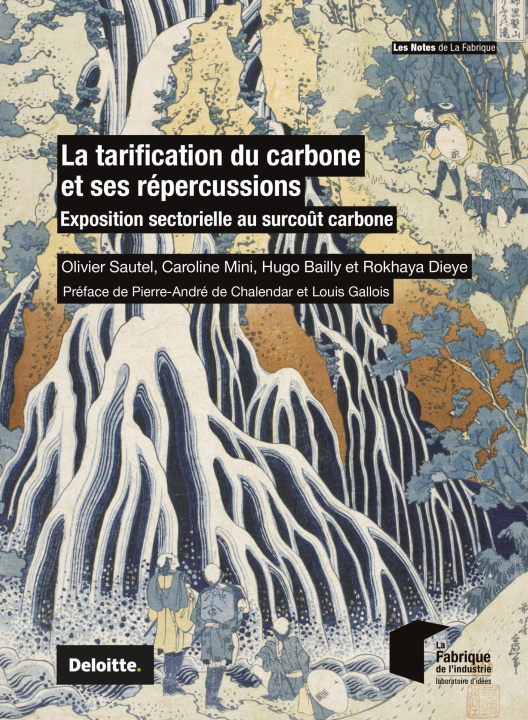 Boek La tarification du carbone et ses répercussions Rokhaya