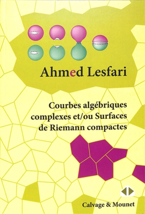 Книга Courbes algébriques complexes et/ou Surfaces de Riemann compactes Lesfari
