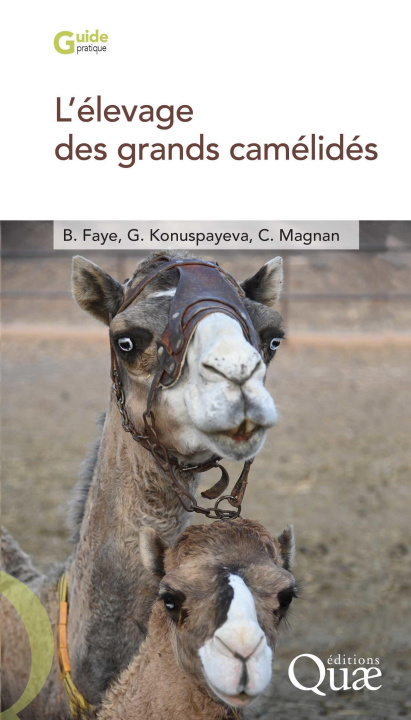 Книга L'élevage des grands camélidés Magnan