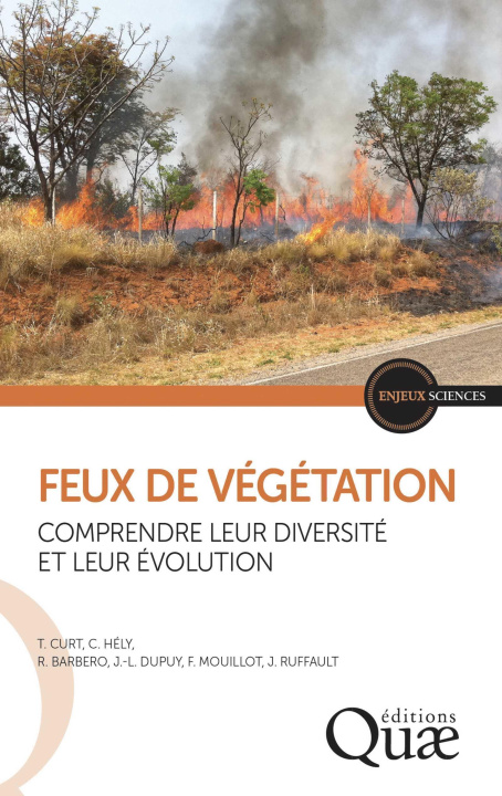 Kniha Feux de végétation Ruffault