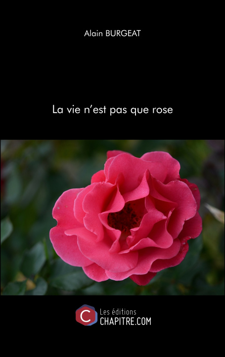 Kniha La vie n'est pas que rose Burgeat