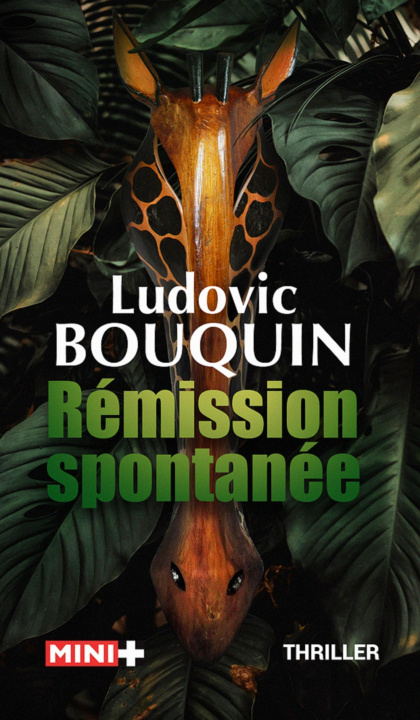 Книга Rémission spontanée Bouquin