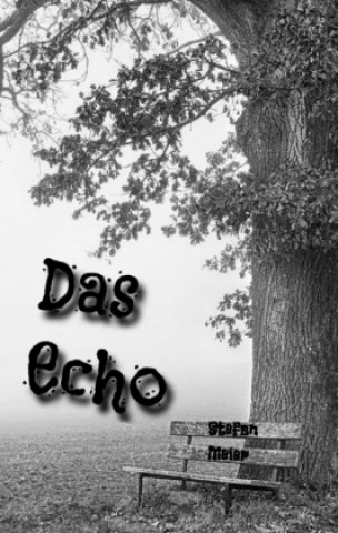 Knjiga Das Echo Stefan Meier