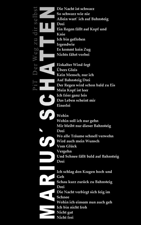 Книга Marius Schatten Pit Vogt