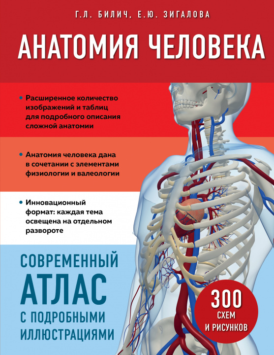 Carte Анатомия человека. Современный атлас с подробными иллюстрациями Е. Зигалова