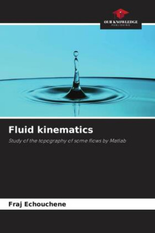 Book Fluid kinematics Fraj Echouchene