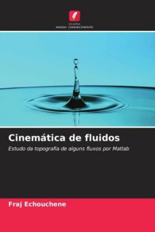 Knjiga Cinemática de fluidos Fraj Echouchene