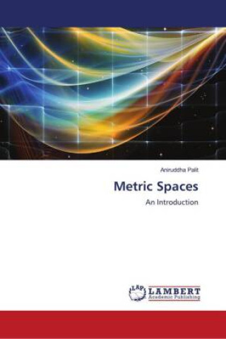 Knjiga Metric Spaces Aniruddha Palit