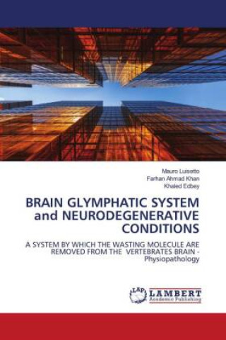 Könyv BRAIN GLYMPHATIC SYSTEM and NEURODEGENERATIVE CONDITIONS Mauro Luisetto