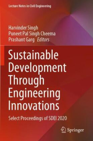 Kniha Sustainable Development Through Engineering Innovations Harvinder Singh
