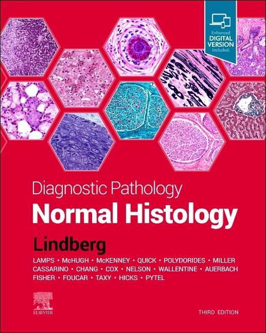 Könyv Diagnostic Pathology: Normal Histology Matthew R Lindberg