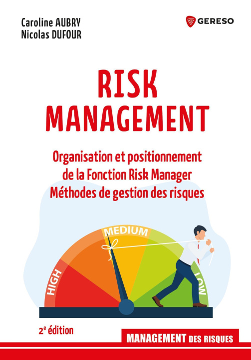 Kniha Risk Management Dufour