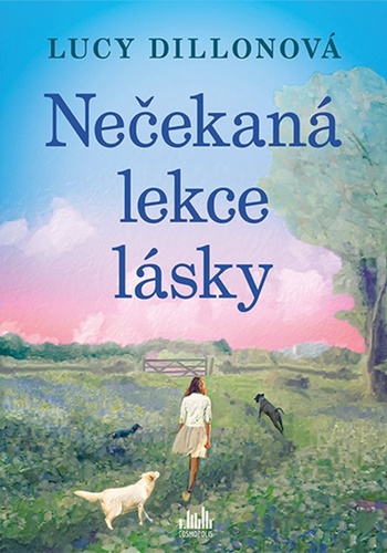 Livre Nečekaná lekce lásky Lucy Dillonová