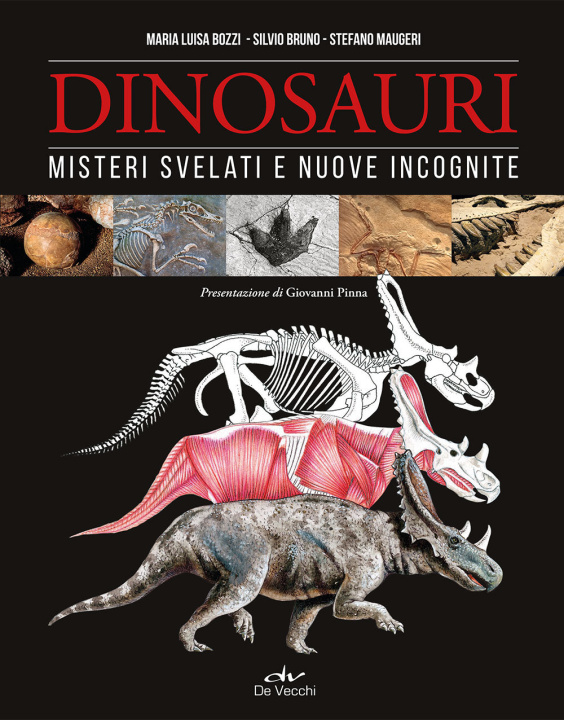 Carte Dinosauri. Misteri svelati e nuove incognite Maria Luisa Bozzi
