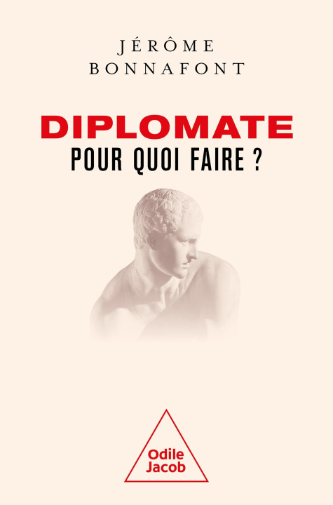 Könyv Diplomate, pour quoi faire ? Jérôme BONNAFONT