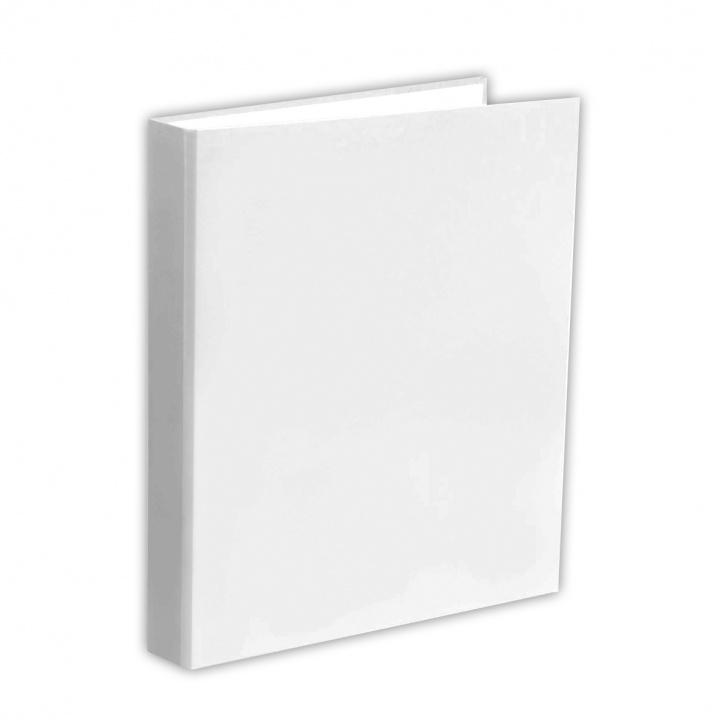 Könyv Segregator A4/2R Penmate biały 