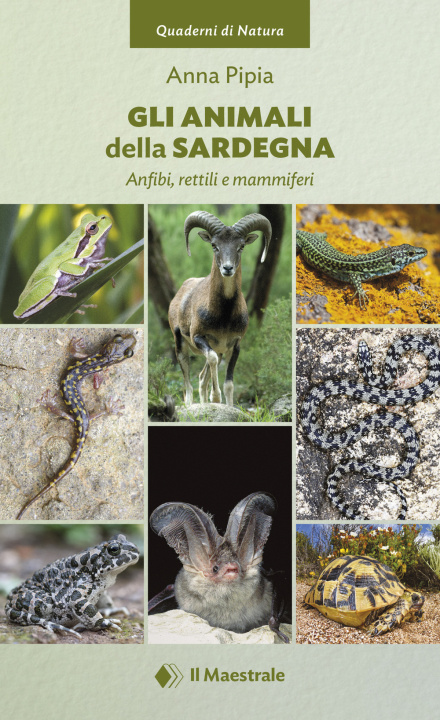 Книга animali della Sardegna. Anfibi, rettili e mammiferi Anna Pipia
