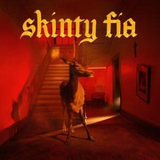 Аудио Skinty Fia 