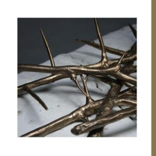 Audio De Doorn Amenra
