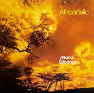 Audio  Africadelic 