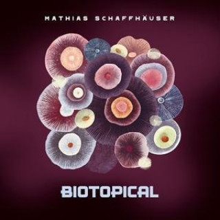 Zvok Biotopical Mathias Schaffhäuser