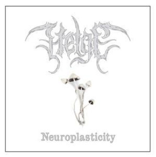 Zvok Neuroplasticity 