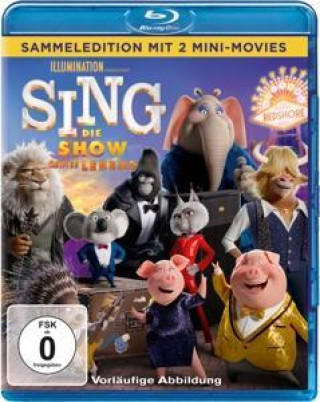 Video Sing - Die Show deines Lebens 