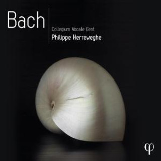 Аудио Johann Sebastian Bach: Philippe Herreweghe - Bach (PHI-Recordings) 