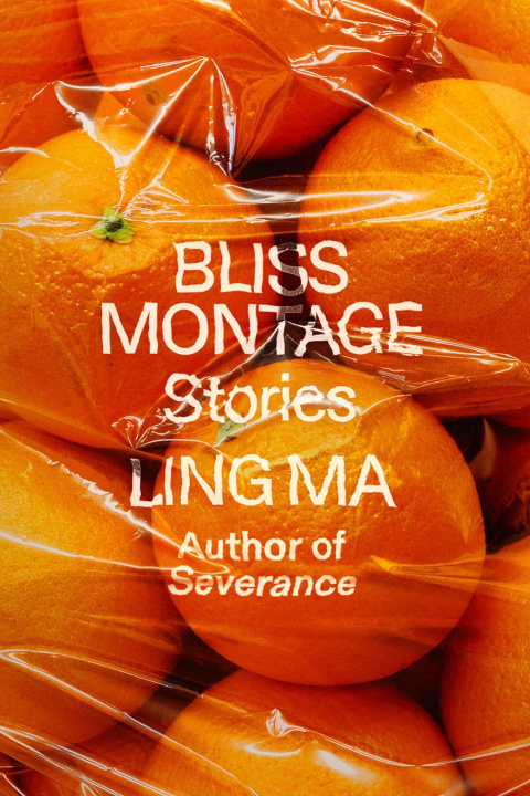 Könyv Bliss Montage: Stories 