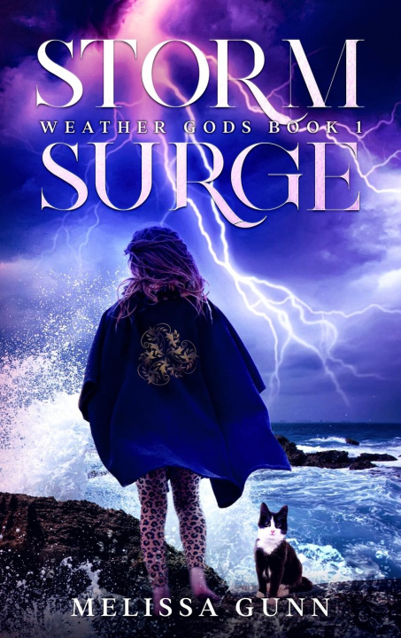 Book Storm Surge Melissa Gunn