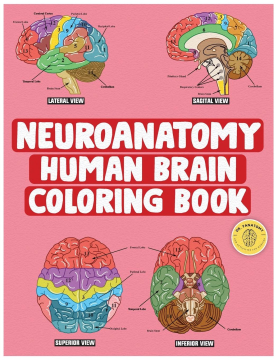 Kniha Neuroanatomy Human Brain Coloring Book 