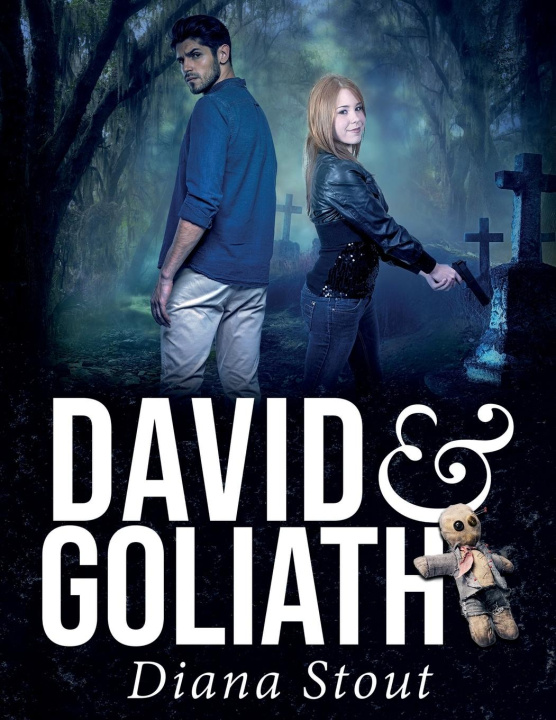 Book David & Goliath Diana Stout