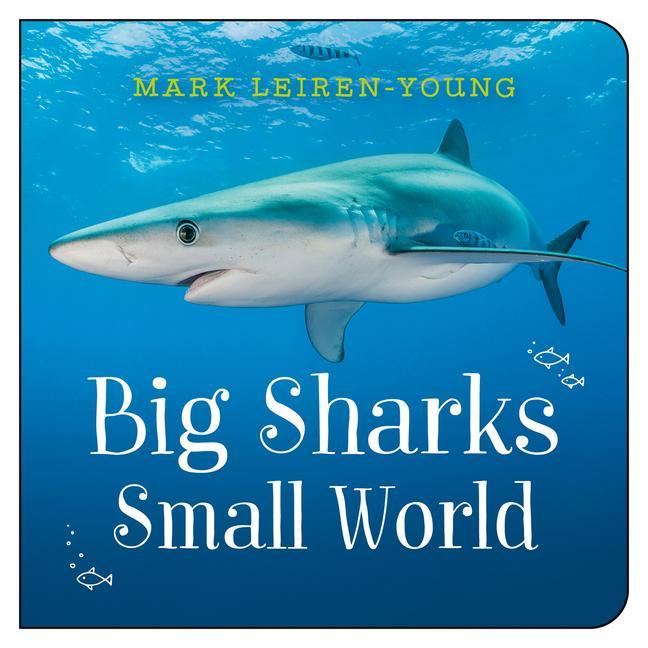 Kniha Big Sharks, Small World 