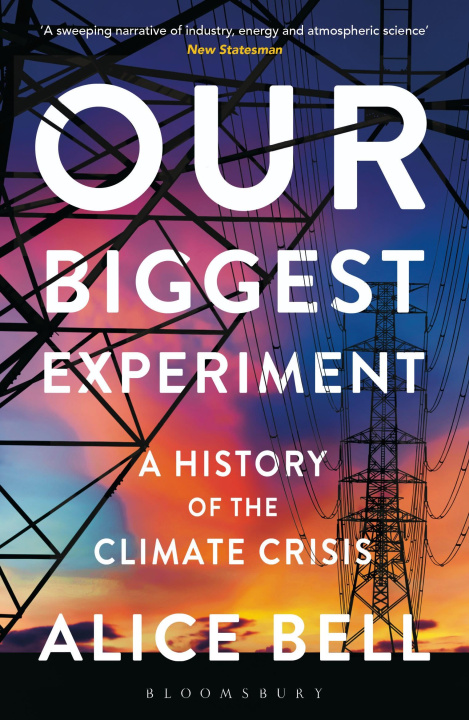 Book Our Biggest Experiment - SHORTLISTED FOR THE WAINWRIGHT PRIZE FOR CONSERVATION WRITING 2022 BELL
