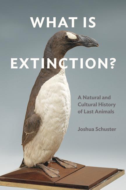 Book What Is Extinction? 