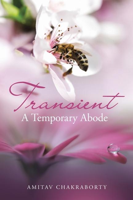 Knjiga Transient - a Temporary Abode Amitav Chakraborty